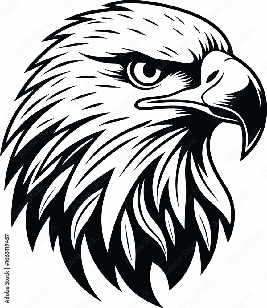 Fototapeta premium Eagle head vector illustration for t-shirt desigtn