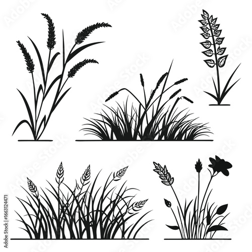 Black silhouette of various grasses and a flower reeds