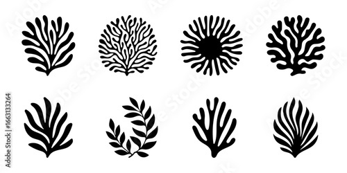 Vector Coral and Seaweed Silhouette Set, Marine Plant Collection, Black Underwater Flora Illustration for Ocean and Tropical Design