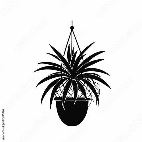Vector illustration of a spider plant in an orange pot, held by a macrame plant hanger, on a white background.