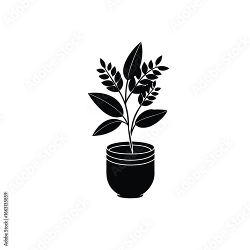 green plant in a pot
