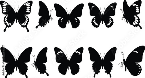 Butterfly silhouette set, insect vector collection, wing shape icon, nature graphic, biodiversity illustration, black design, entomology art, species variety