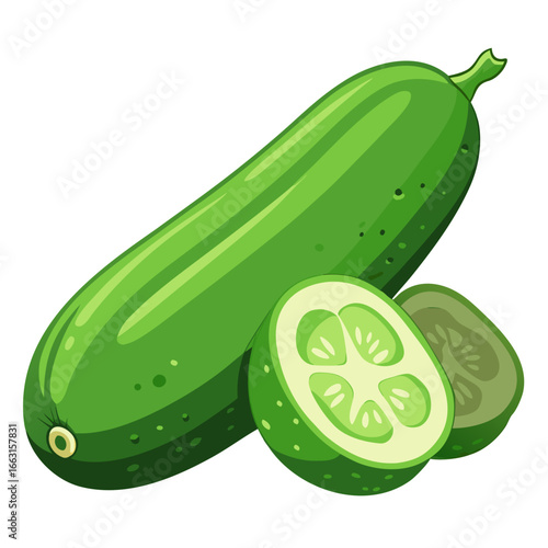 illustration of cucumber
