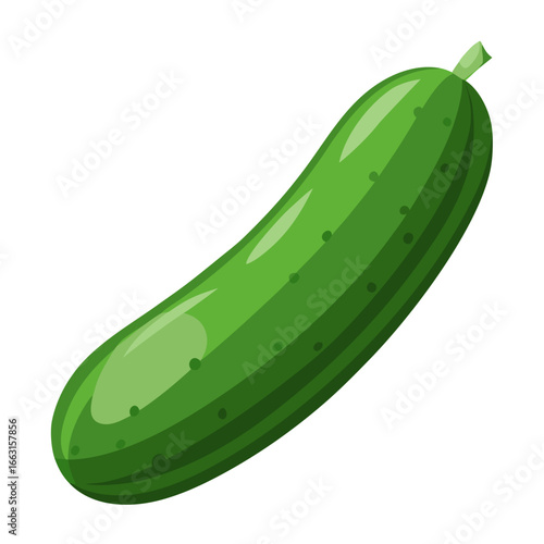 cucumber isolated on white background