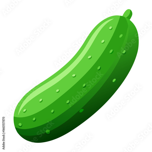 illustration of cucumber