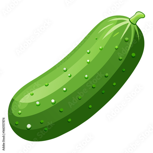 cucumber with leaves