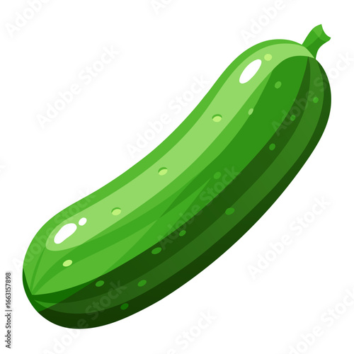 vector illustration of a cucumber