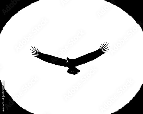 Eagle flight symbolism spiritual mystical power chakra symbolizing spiritual ascension, vision, and freedom