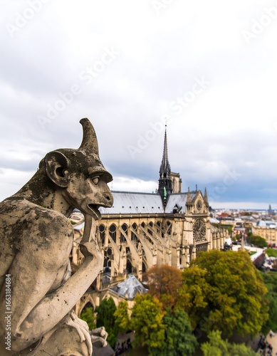 Naklejka Gothic gargoyle and Notre Dame Cathedral