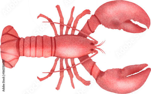 red lobster painting art illustration 