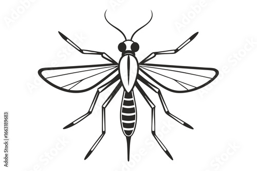 Black and white illustration of a mosquito with detailed wings and body