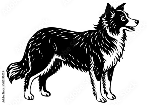 Border Collie Standing Silhouette Linocut, Herding Dog Vector Art