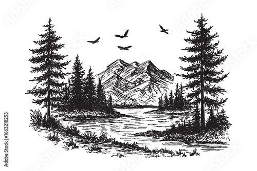 Vintage mountain lake scene with pine forest and flying birds, detailed hand-drawn engraving style illustration of wilderness landscape.