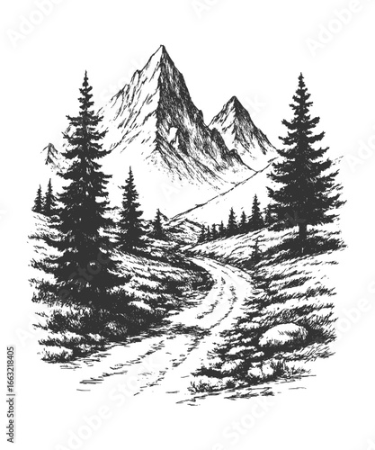 Vintage hand-drawn mountain landscape with forest trees and rocky path, retro engraving style wilderness illustration for outdoor adventure.