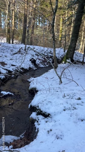 river in winter
