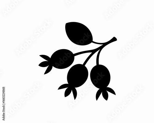 Black silhouette of rose hips on a branch with leaves isolated on white background