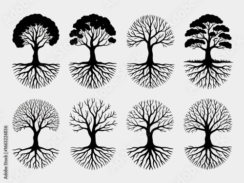Collection of eight stylized tree silhouettes with intricate root systems isolated on white background
