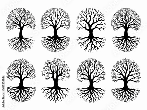 Collection of eight intricate tree of life silhouettes isolated on white background