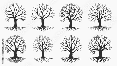 Collection of bare tree silhouettes with visible roots isolated on white background