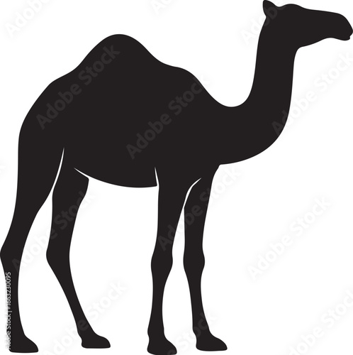 camel vector illustration