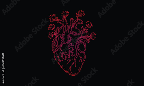 Romantic anatomic heart entwined with blooming flowers blossoming with love on a dark scene