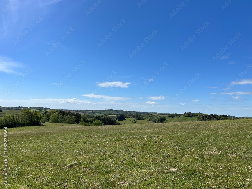 Fototapeta premium field of grass and blue sky