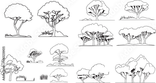  minimal style tree drawings for architecture and landscape design