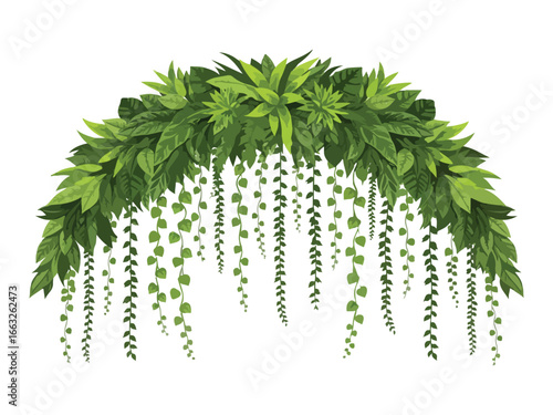 Creeper Plant - Lush Hanging Greenery Wall – Vibrant Tropical Plant Arrangement Vector Art