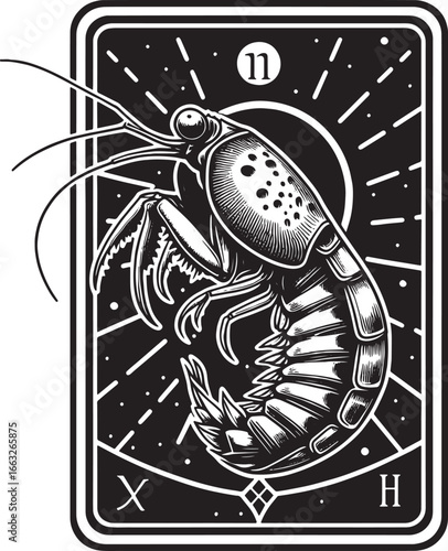 Intricate Black and White Illustration of a Shrimp Tarot Card Design with Number Eleven