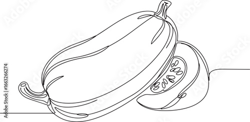 Minimalist line drawing showcasing the elegance of spaghetti squ