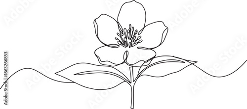 Elegant jasmine flower continuous line drawing on white backgrou