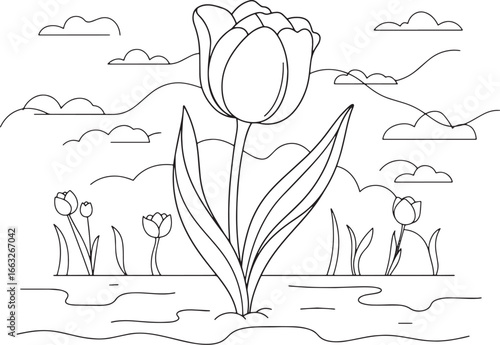 Elegant tulip outline illustration on dreamy sky background for