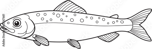 Detailed line art illustration of a smelt fish, emphasizing its