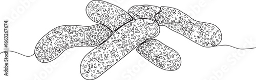 Abstract Monochrome Depiction of Bacterial Cells Under Microscop