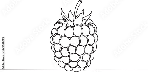 Elegant line drawing of a blackberry, creating a minimalist and