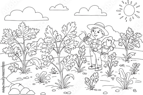 Illustration of a cheerful farmer cultivating parsley in a sunny