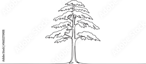 Elegant cedar tree outline illustration for nature-themed design