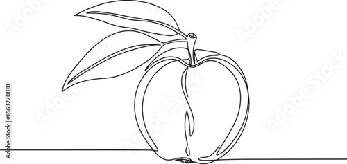 Minimalist one line drawing illustration of velvet apple fruit w