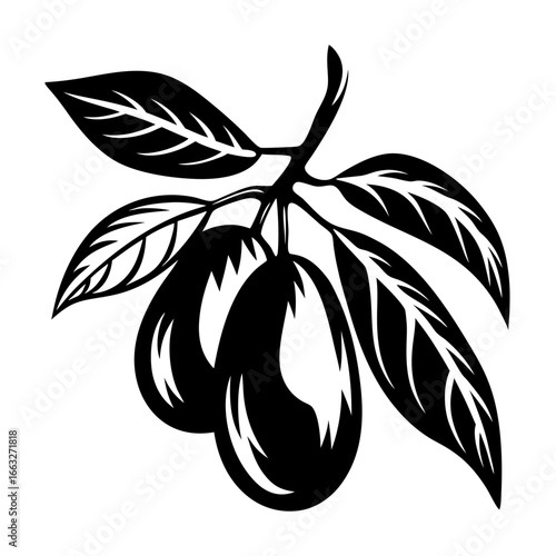Black and white illustration of plums on a branch with leaves vector art