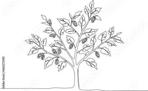 Simple one line drawing of a mulberry tree with fruits and leave
