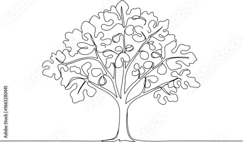 Minimalist line drawing of a fig tree with detailed foliage and