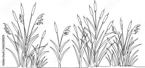 Minimalist Linear Illustration of Cattails and Reeds in a Marsh