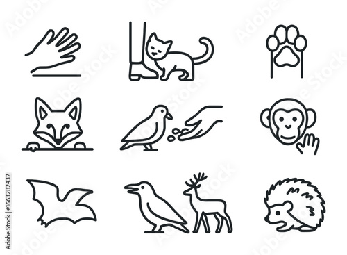 Wildlife Icon Grid. Outline icon set of wild animals near humans: raccoon hand, cat rubbing leg, dog paw, fox