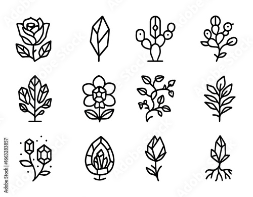 Crystalline Flora Icons. Outline icon set of crystalline flora: crystal rose, shard leaf, diamond cactus,