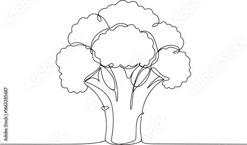 Continuous line drawing of fresh broccoli vegetable for healthy