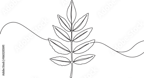 Elegant Pecan Leaf Illustration with a Single Continuous Line De