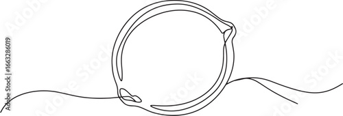 Single line art of a lime, evoking simplicity and clean design a