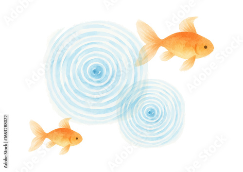 水彩風の金魚が泳ぐ涼しげなイラスト