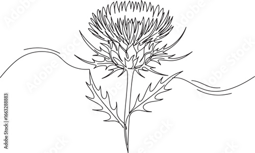 Wallpaper Mural Elegant thistle flower line art illustration, simple yet evocati Torontodigital.ca
