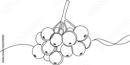 Elegant outline drawing of a cluster of yangmei fruit in minimal